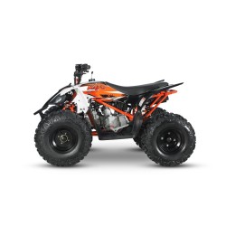 MINI QUAD ATV 110cc AUTOMATICO 4 TEMPI  KAYO