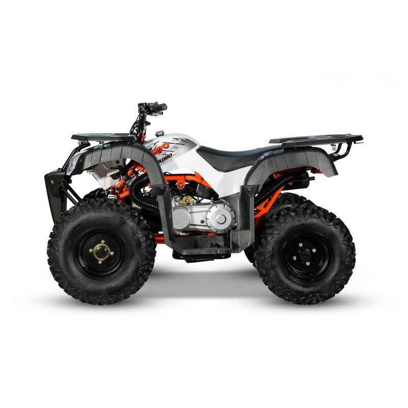 MAXI QUAD ATV AU180 180cc  KAYO