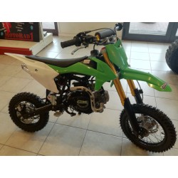 PIT BIKE 55cc 4t automatica