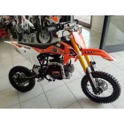 PIT BIKE 55cc 4t automatica